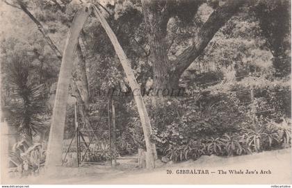 GIBRALTAR - The Whale Jaw's Arch