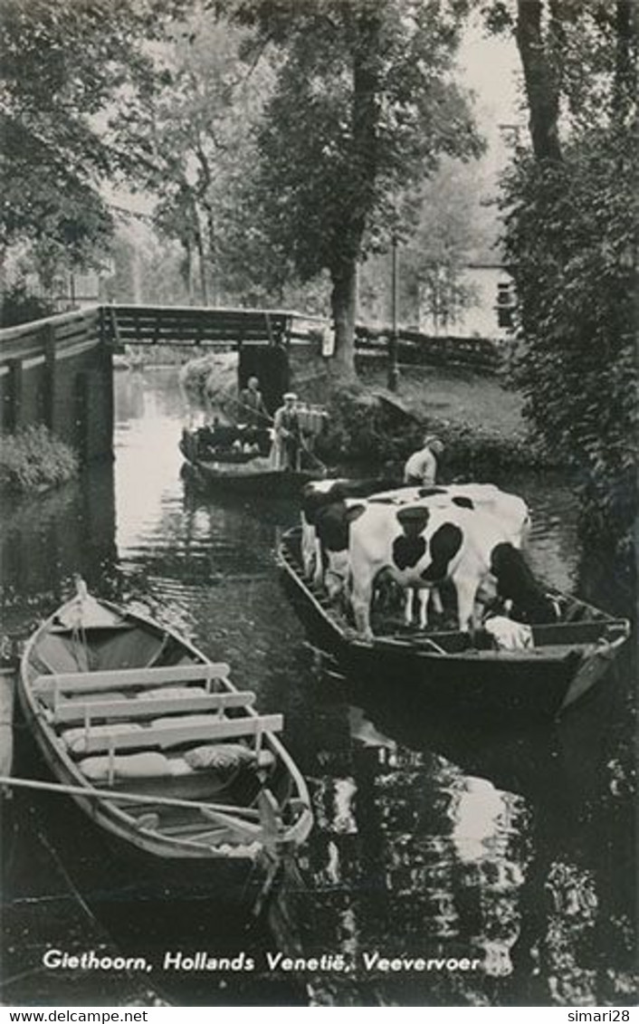 GIETHOON - HOLLANDS VENETIE VEEVERVOER (VACHES)