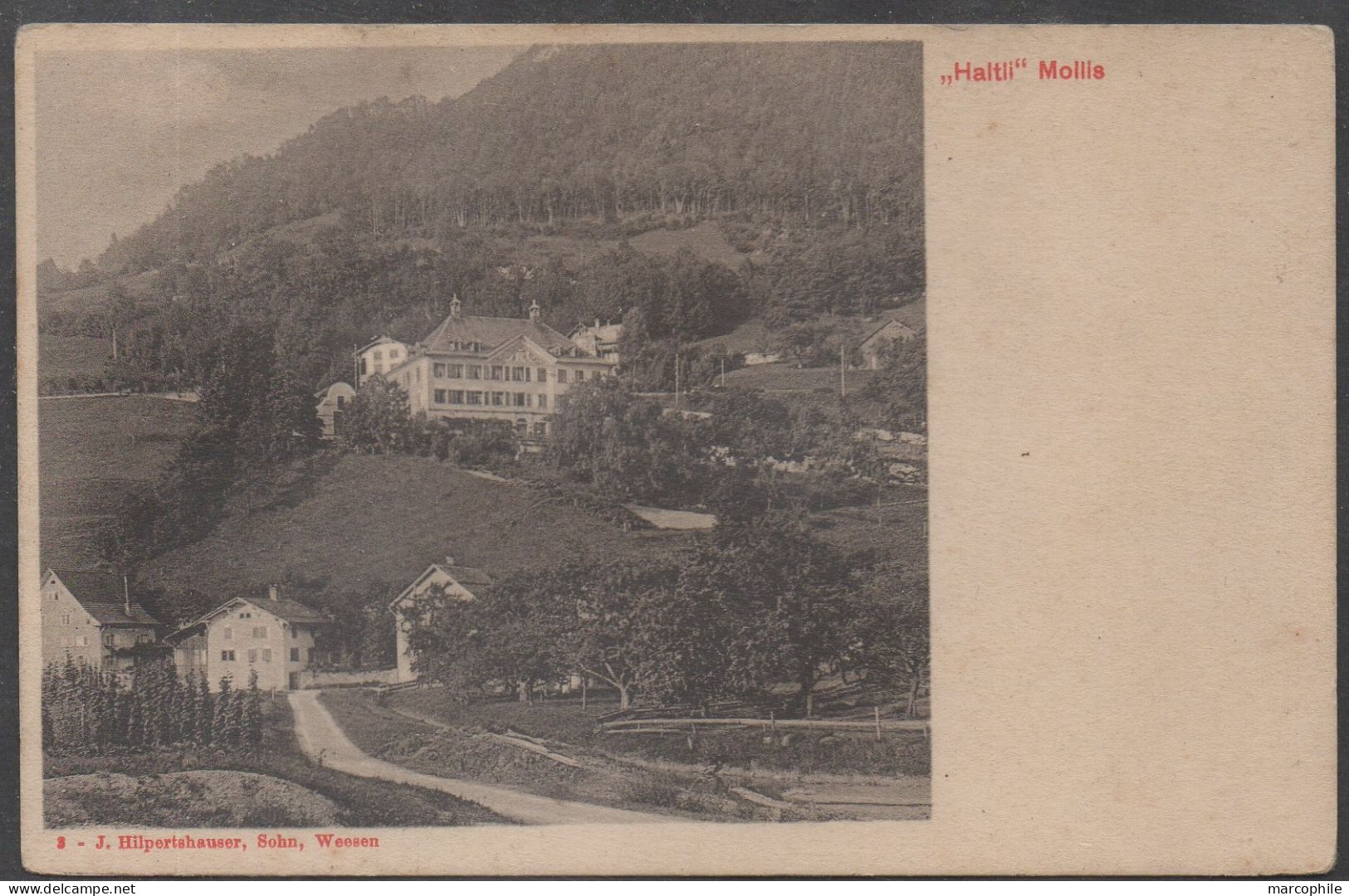 GL - GLARIS - GLARUS / 1913 HALTLI - MOLLIS CARTE POSTALE VOYAGEE  (ref CP791)