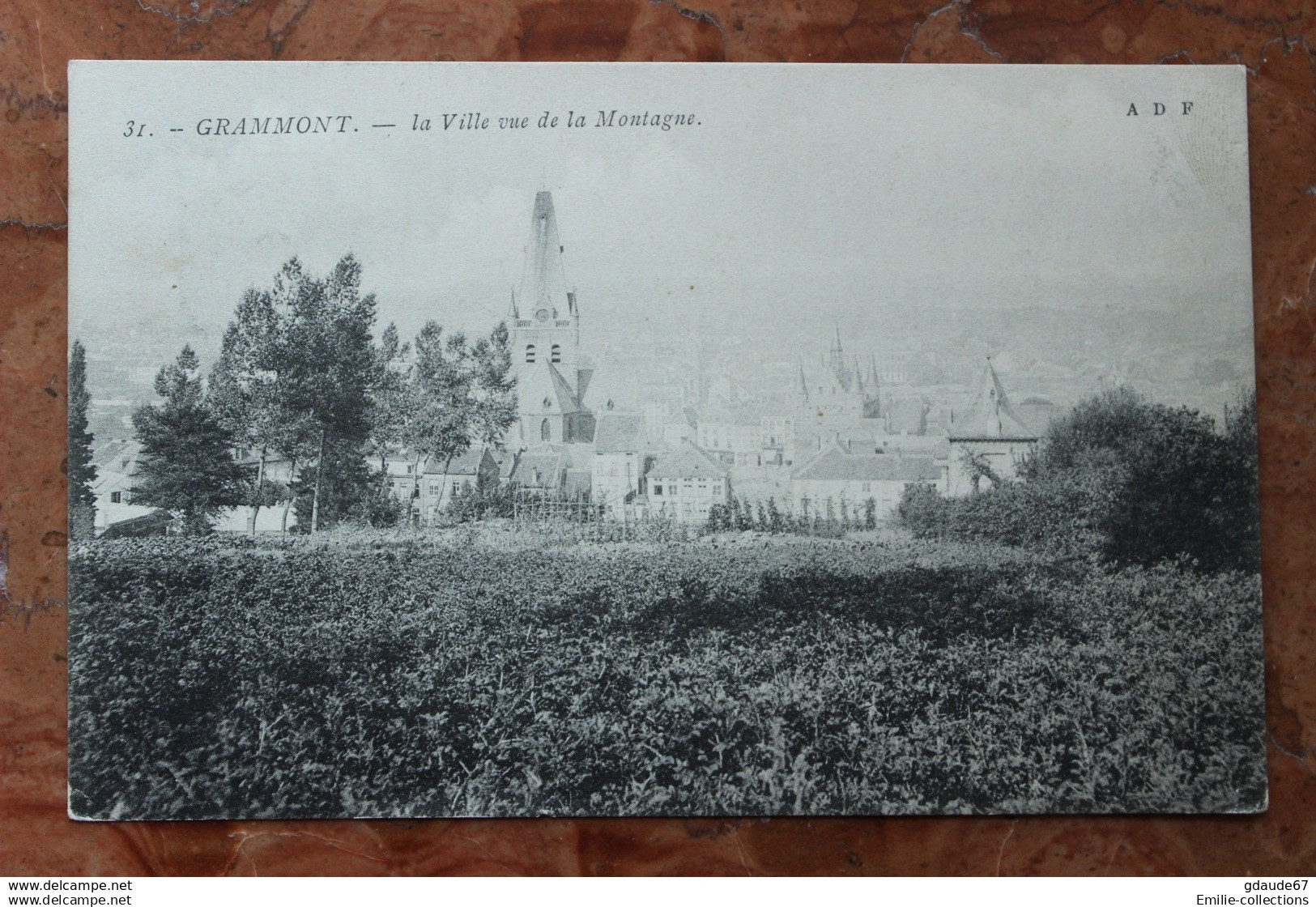 GRAMMONT (FLANDRE ORIENTALE) - LA VILLE VUE DE LA MONTAGNE