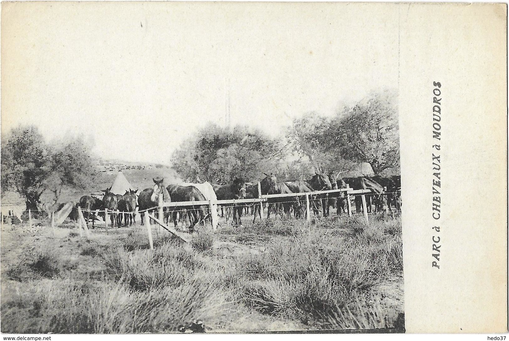 Grèce - Parc à Chevaux à Moudros