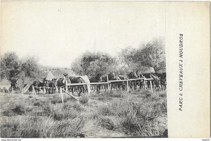 Grèce - Parc à Chevaux à Moudros