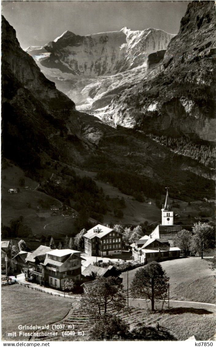 Grindelwald