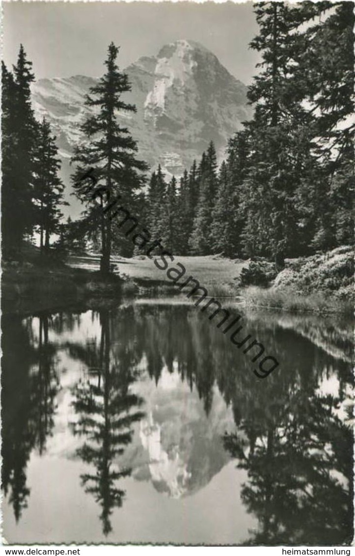 Grindelwald - Kohlenweiher - Foto-AK - Verlag R. Schudel Grindelwald (G49147)