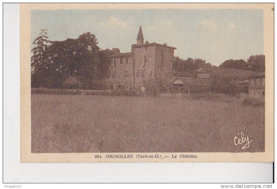 Grisolles Le Château