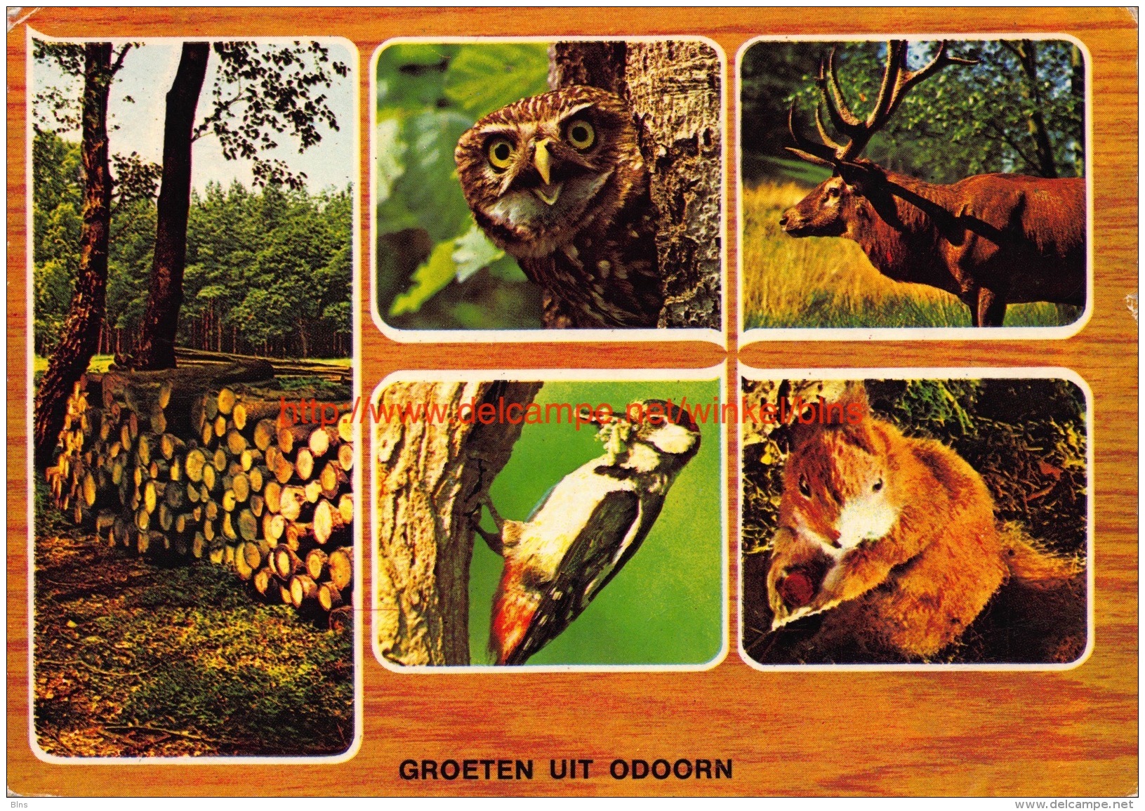 Groeten uit Â… - Odoorn