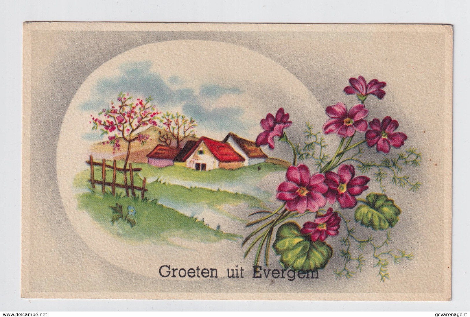 GROETEN UIT EVERGEM