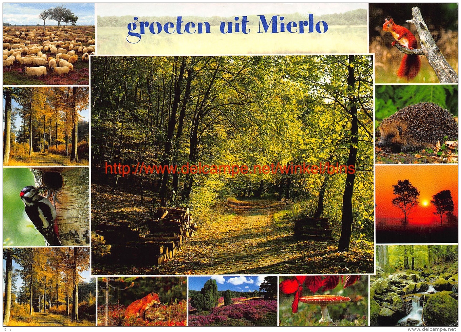 Groeten uit Mierlo