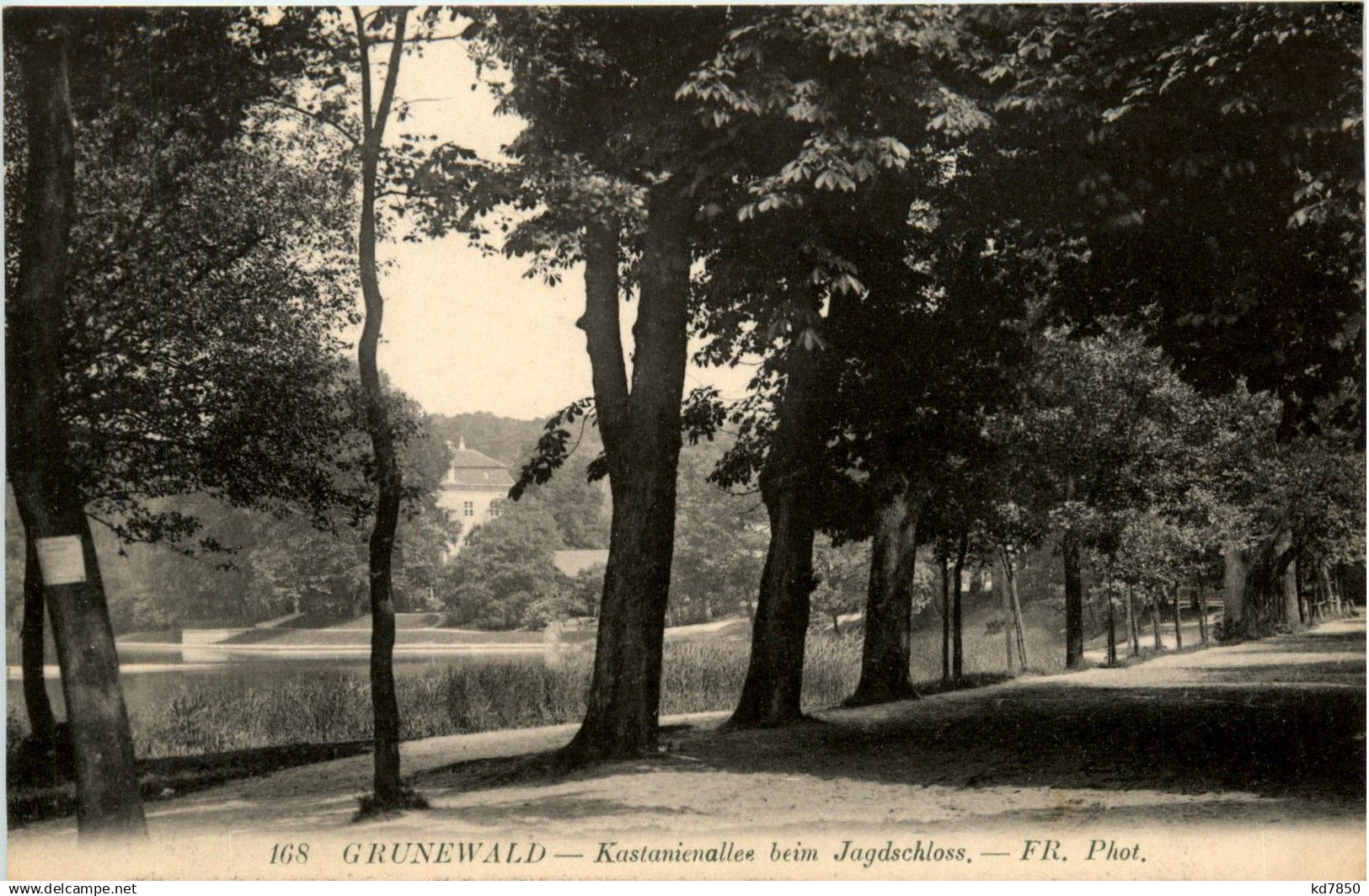 Grunewald - Kastanienallee