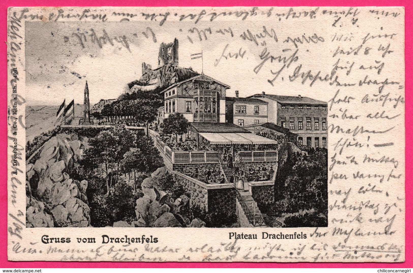 Gruss vom Drachenfels - Plateau Drachenfels - Drapeaux - A. DREESBACH & Co - 1901