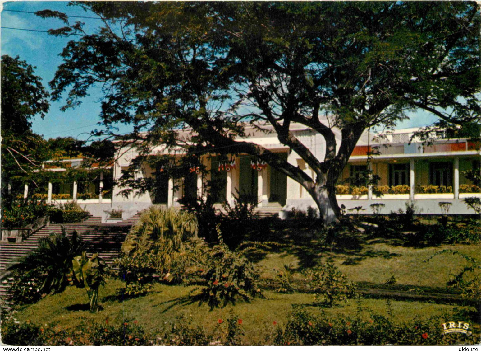 Guadeloupe - Basse Terre - Le Conseil Général - CPM - Voir Scans Recto-Verso