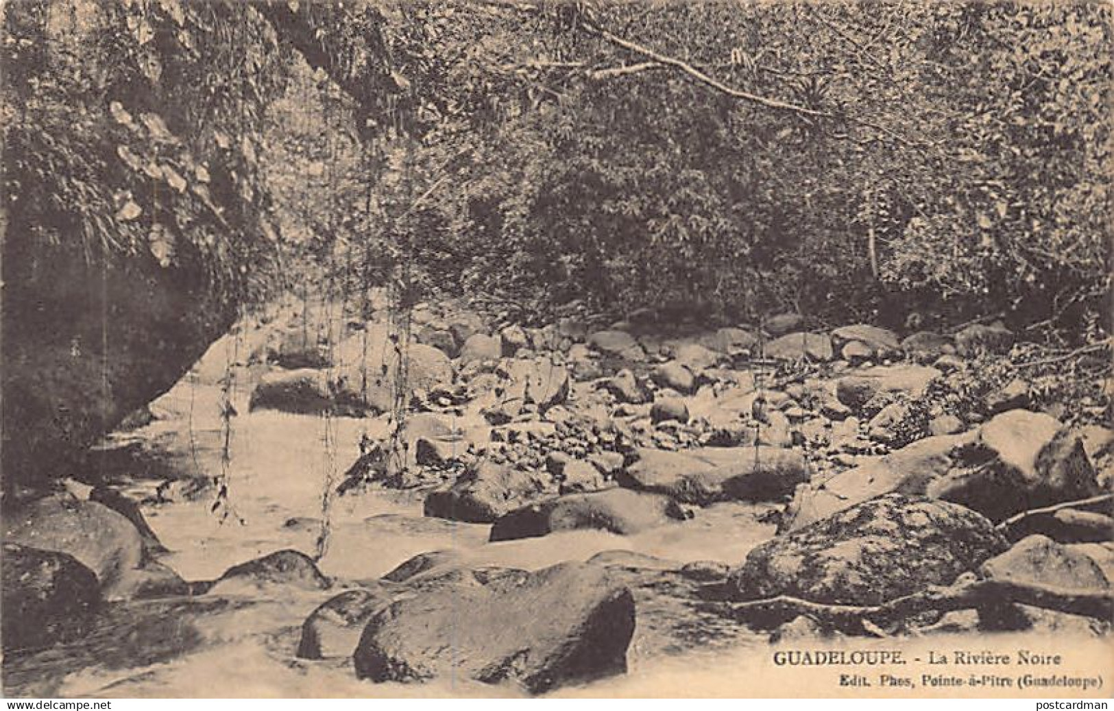 Guadeloupe - La Rivière Noire - Ed. Phos