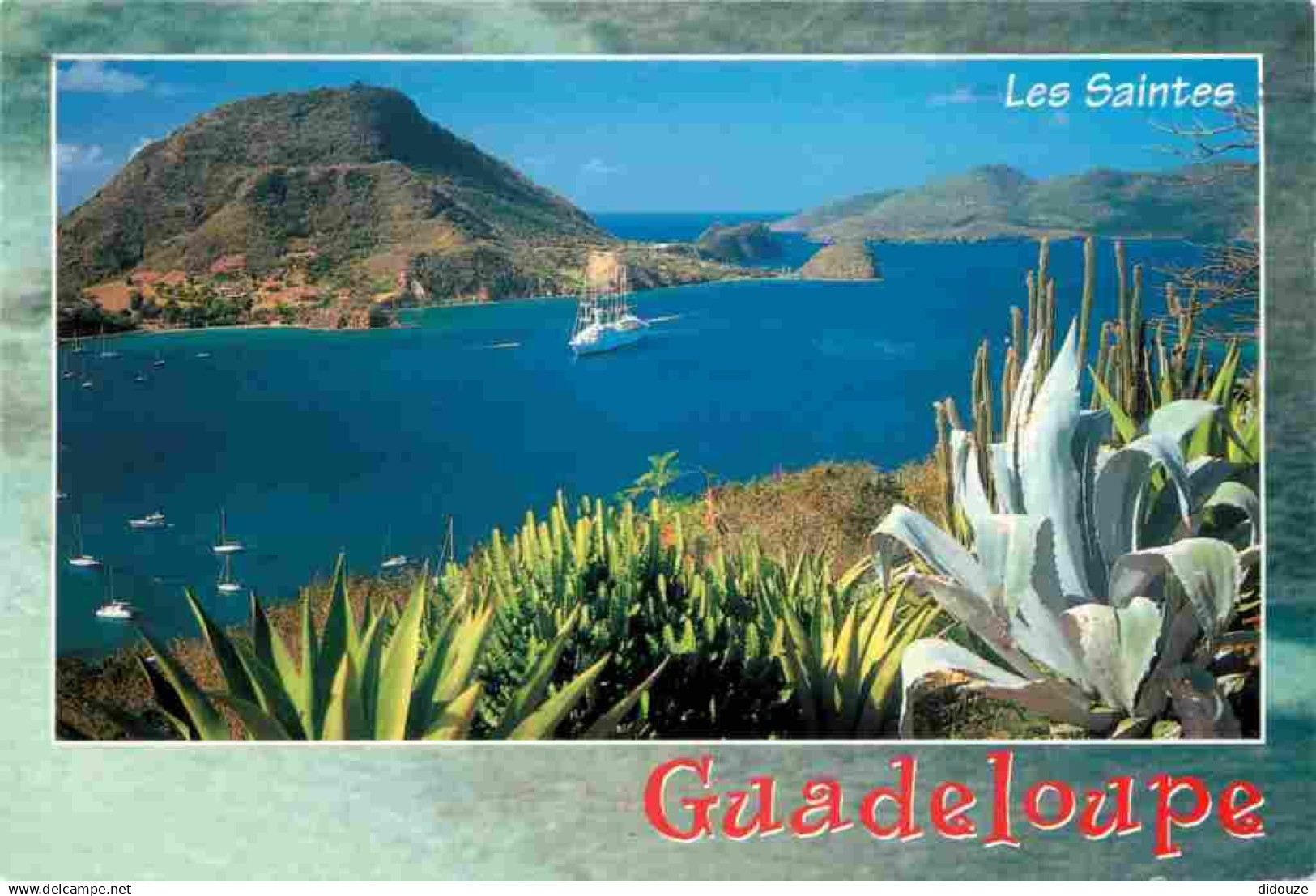 Guadeloupe - Les Saintes - Baie des Saintes - CPM - Voir Scans Recto-Verso