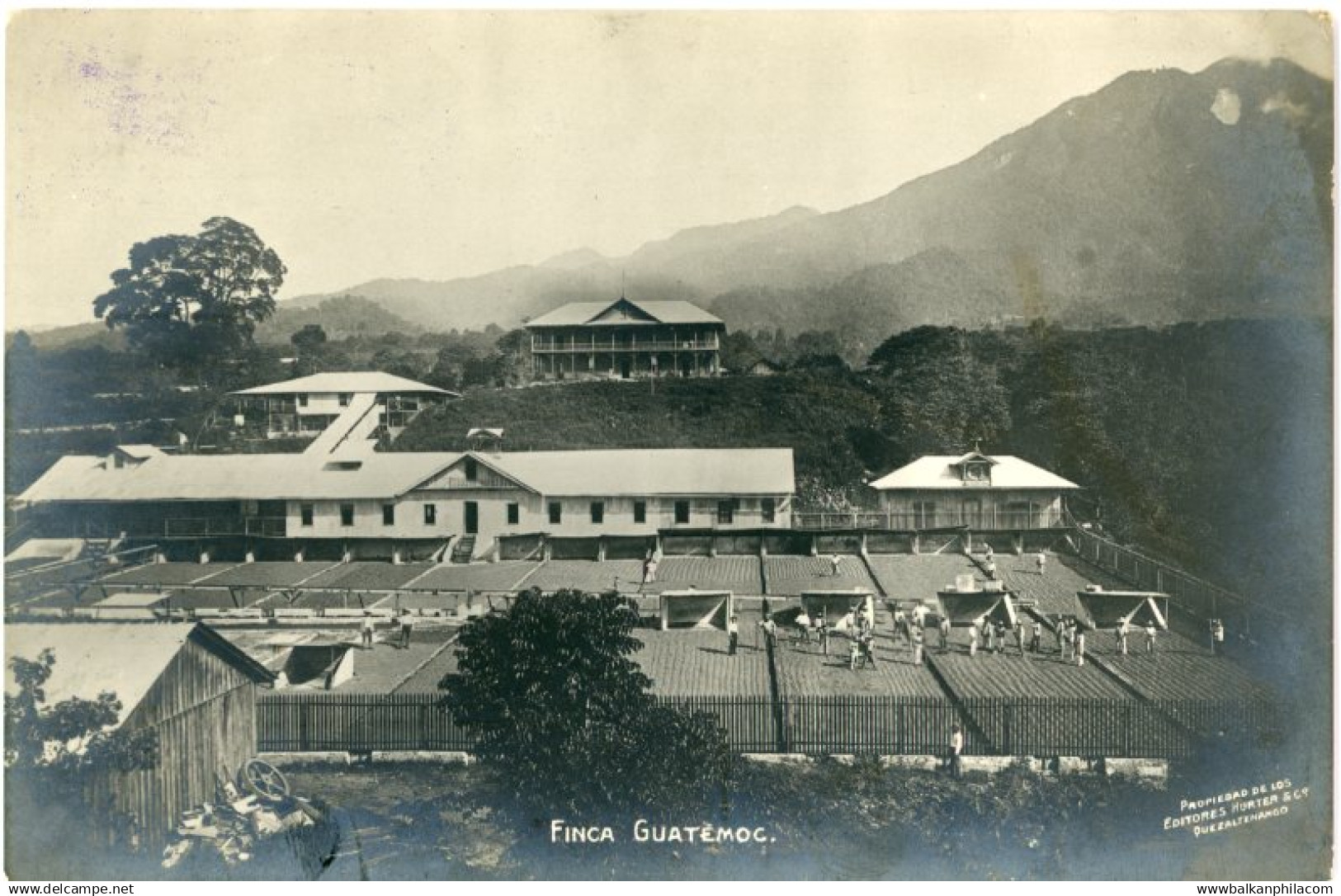 Guatemala Guatemoc Farm 1912 to Switzerland