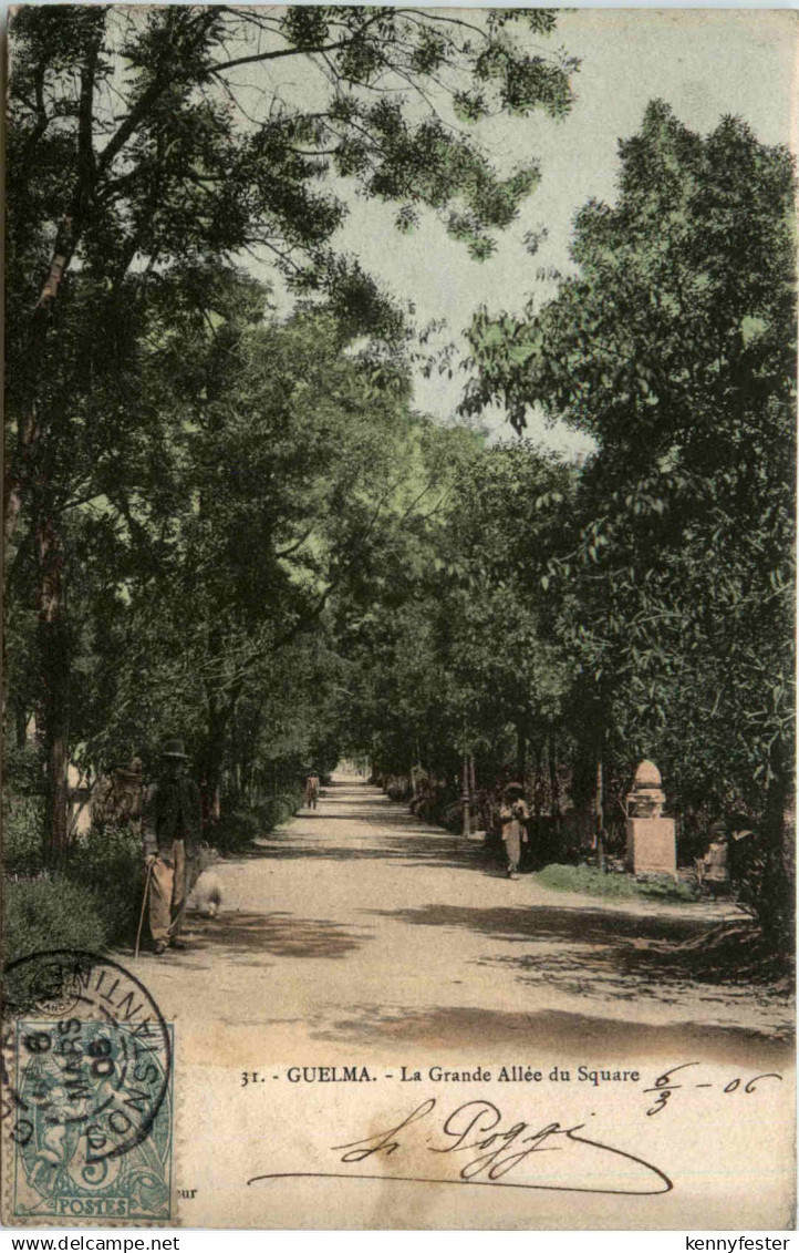 Guelma, La Grande Allee du Square