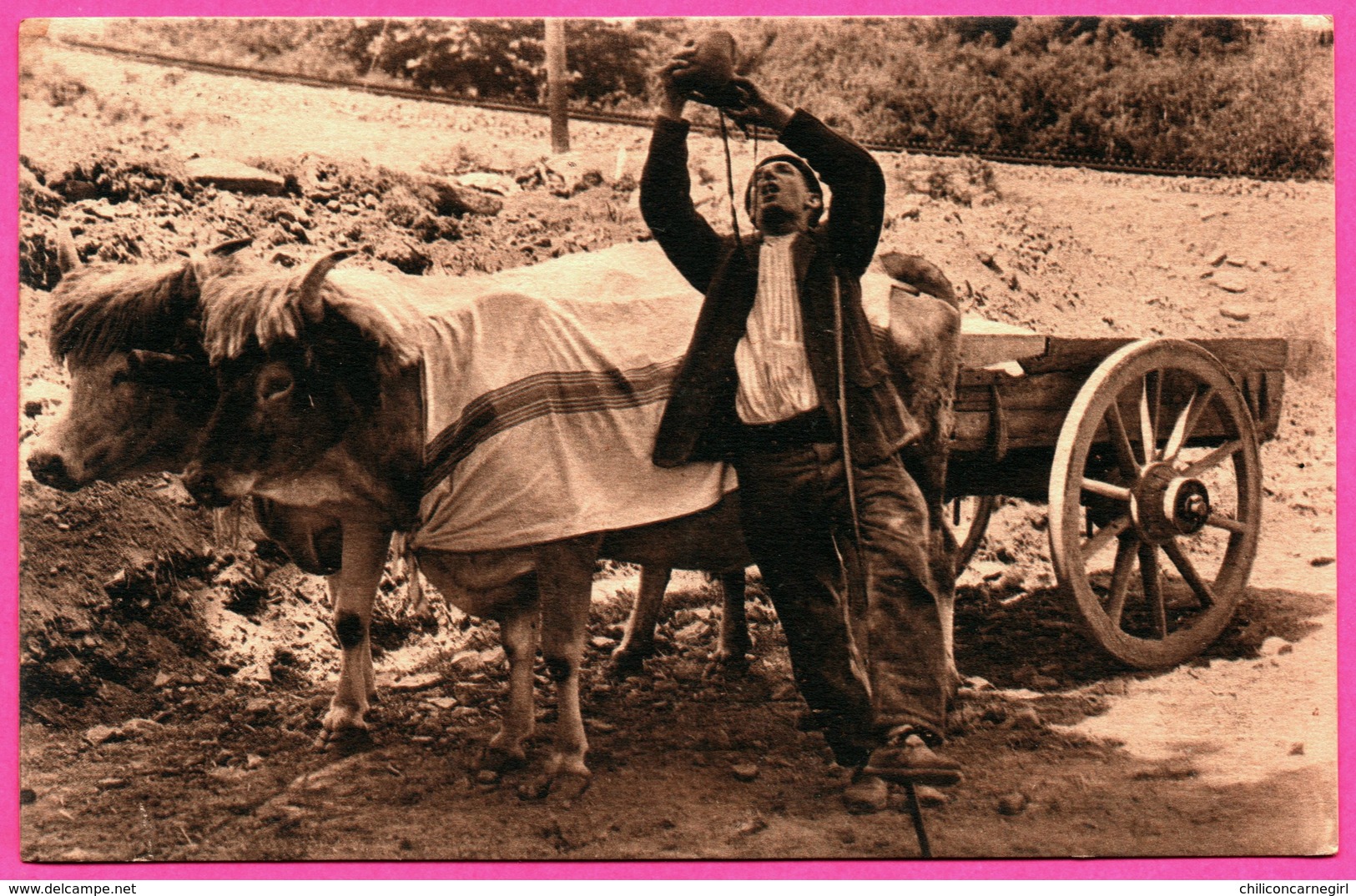 Guethary - Buveur Sahakoa - Attelage - Bullock - Animée - Photographie MARCEL DELBOY - 1928