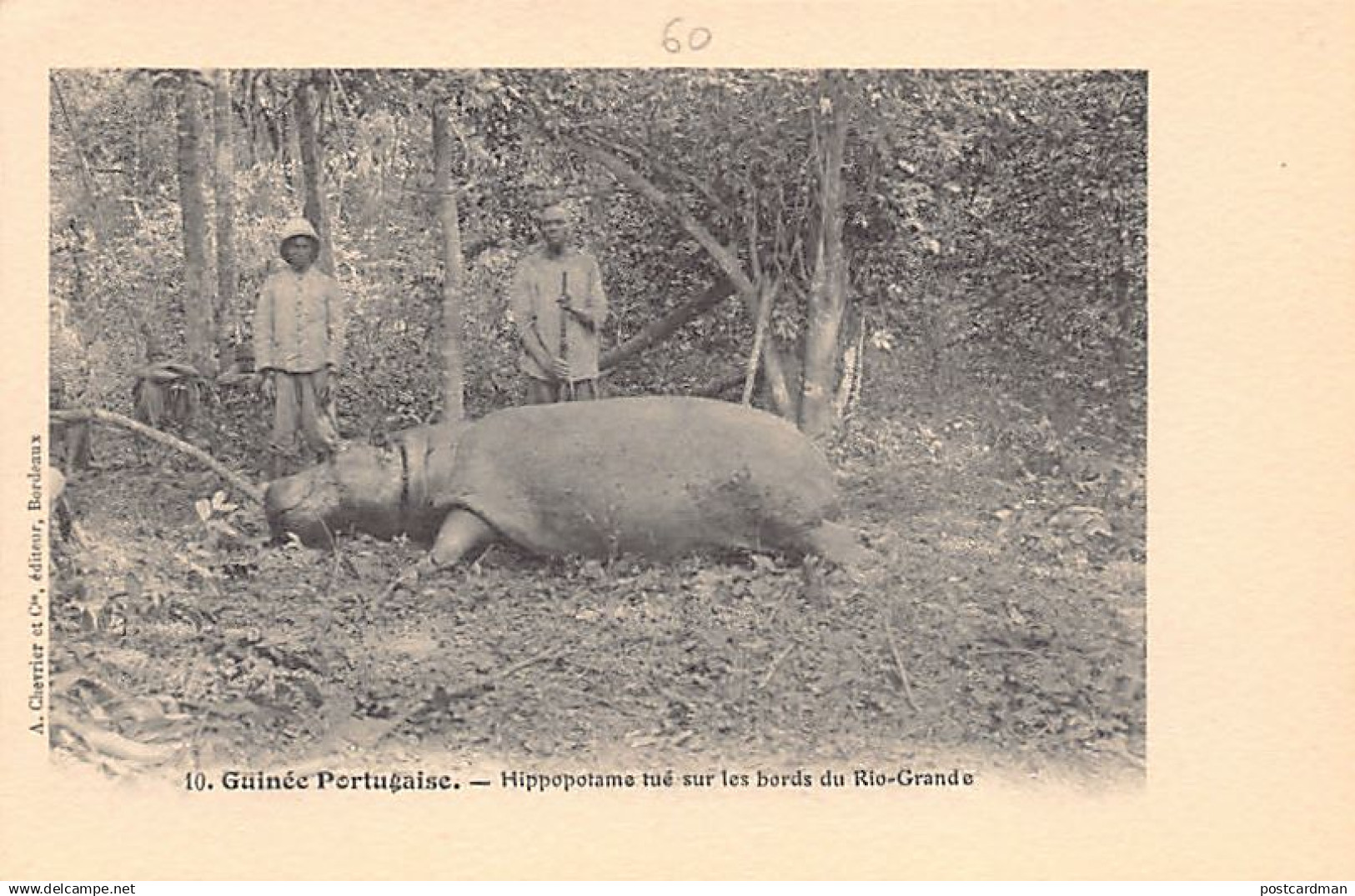 Guinea Bissau - Hippopotamus hunted on the Rio-Grande - Publ. A. Chevrier & Cie 10