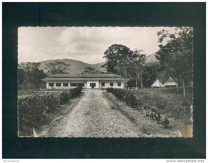 CPSM - Guinée - SEREDOU - Station de Quinquina ( C.O.G.E.X.)