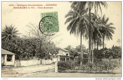 GUINEE - KONAKRY -  Une Avenue