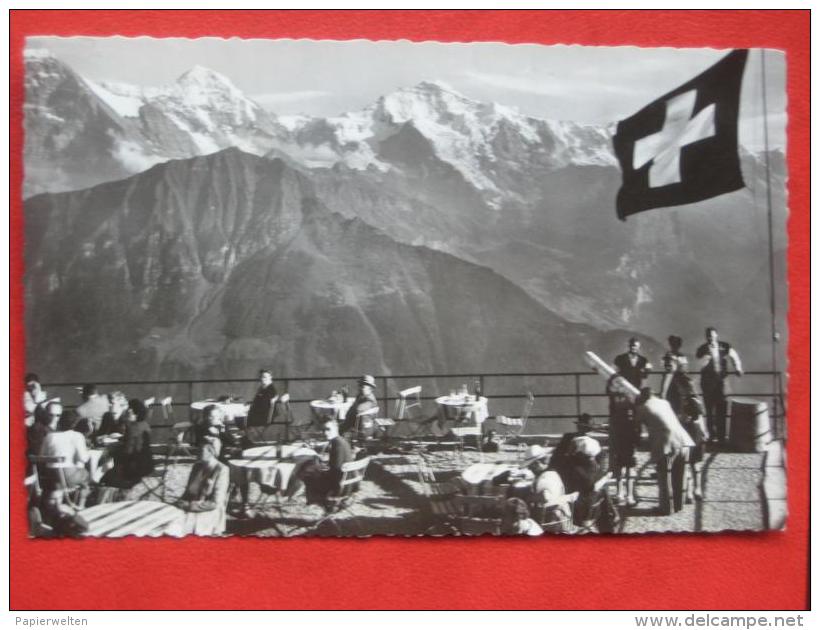 Gündlischwand (BE) - Terrasse Schynige Platte Mönch Jungfrau