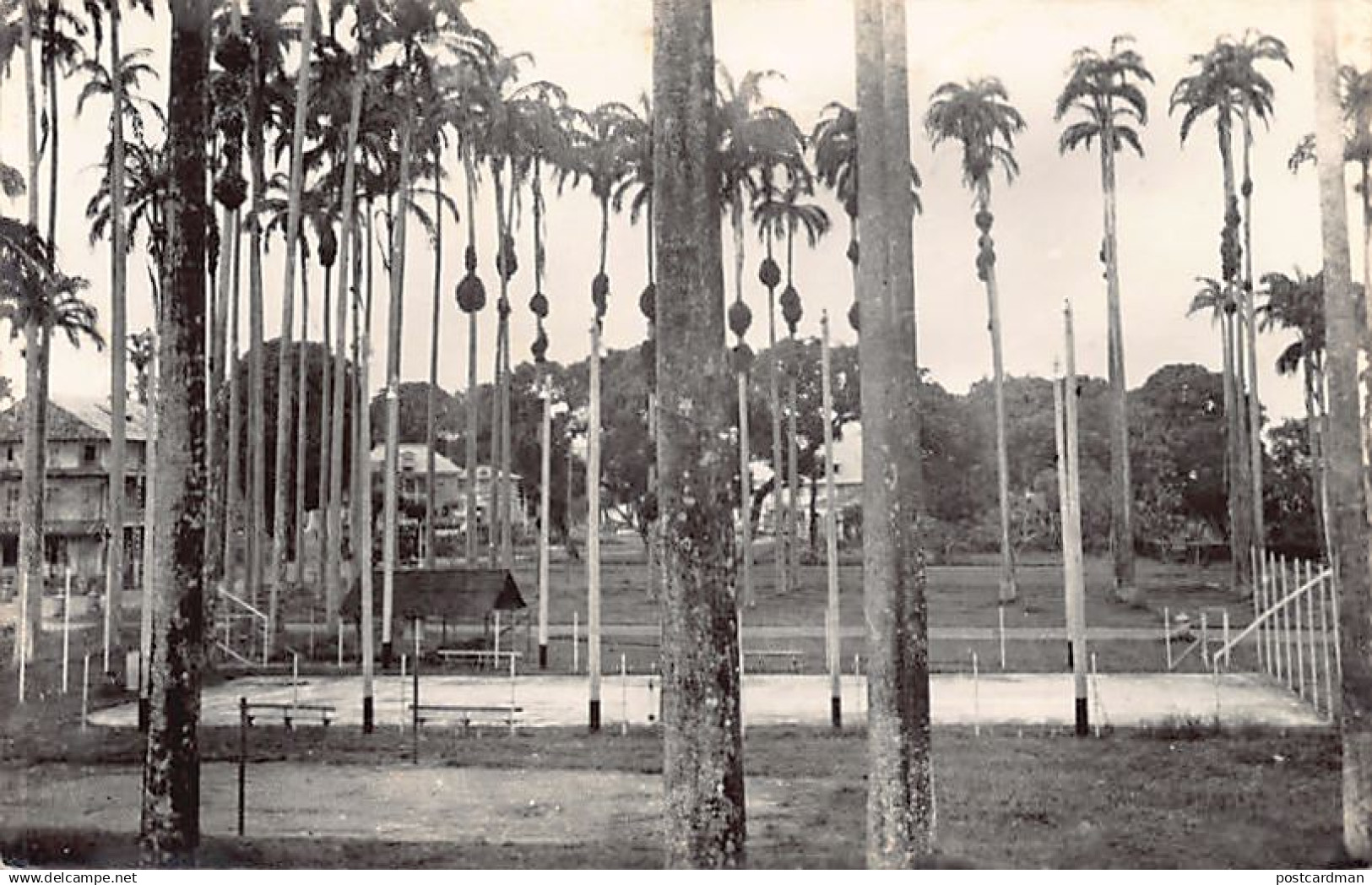 Guyane - CAYENNE - Stade Tennis Club - Ed. inconnu