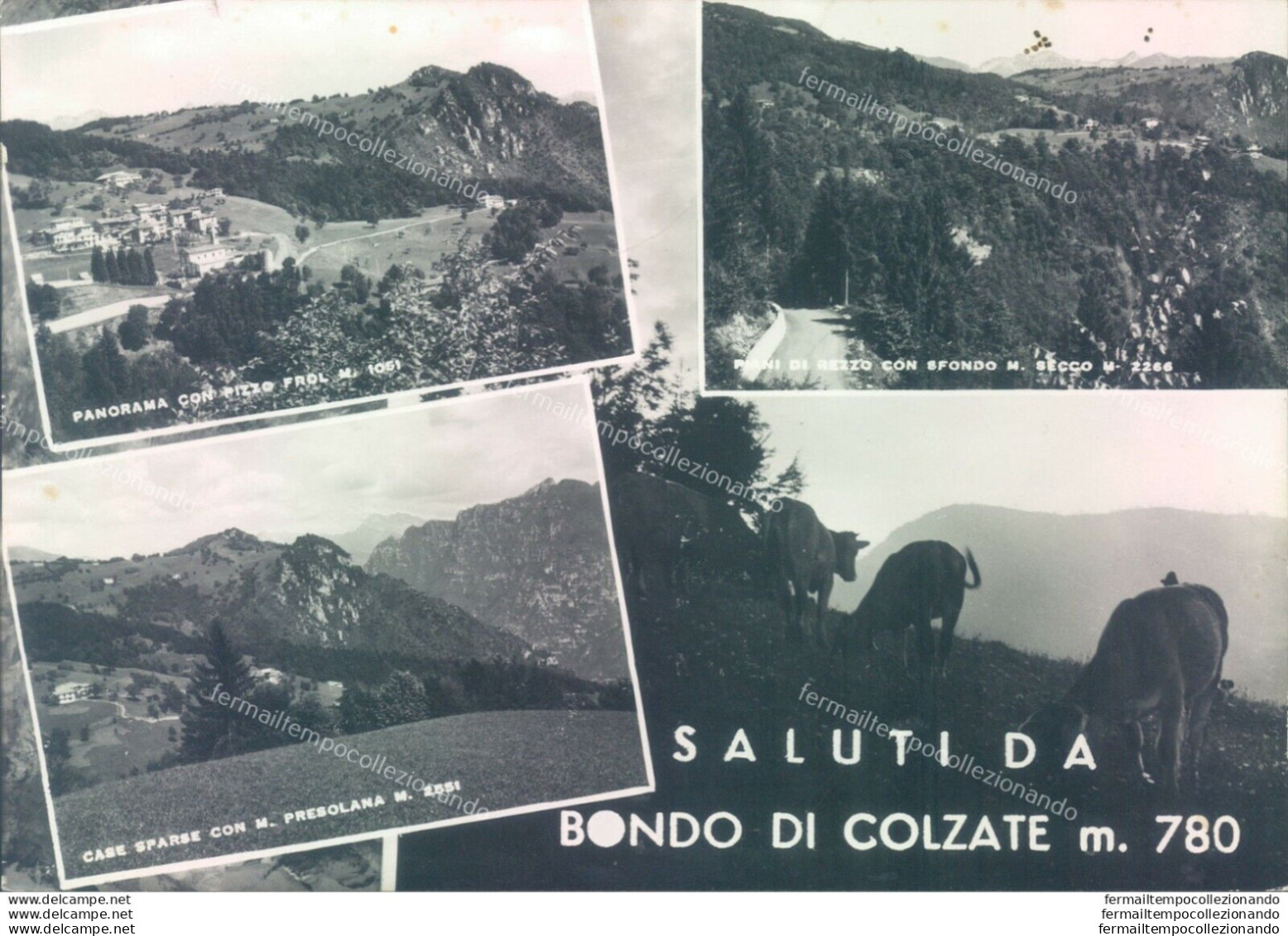 h458 cartolina provincia di bergamo - saluti da bondo di colzate 4 vedutine