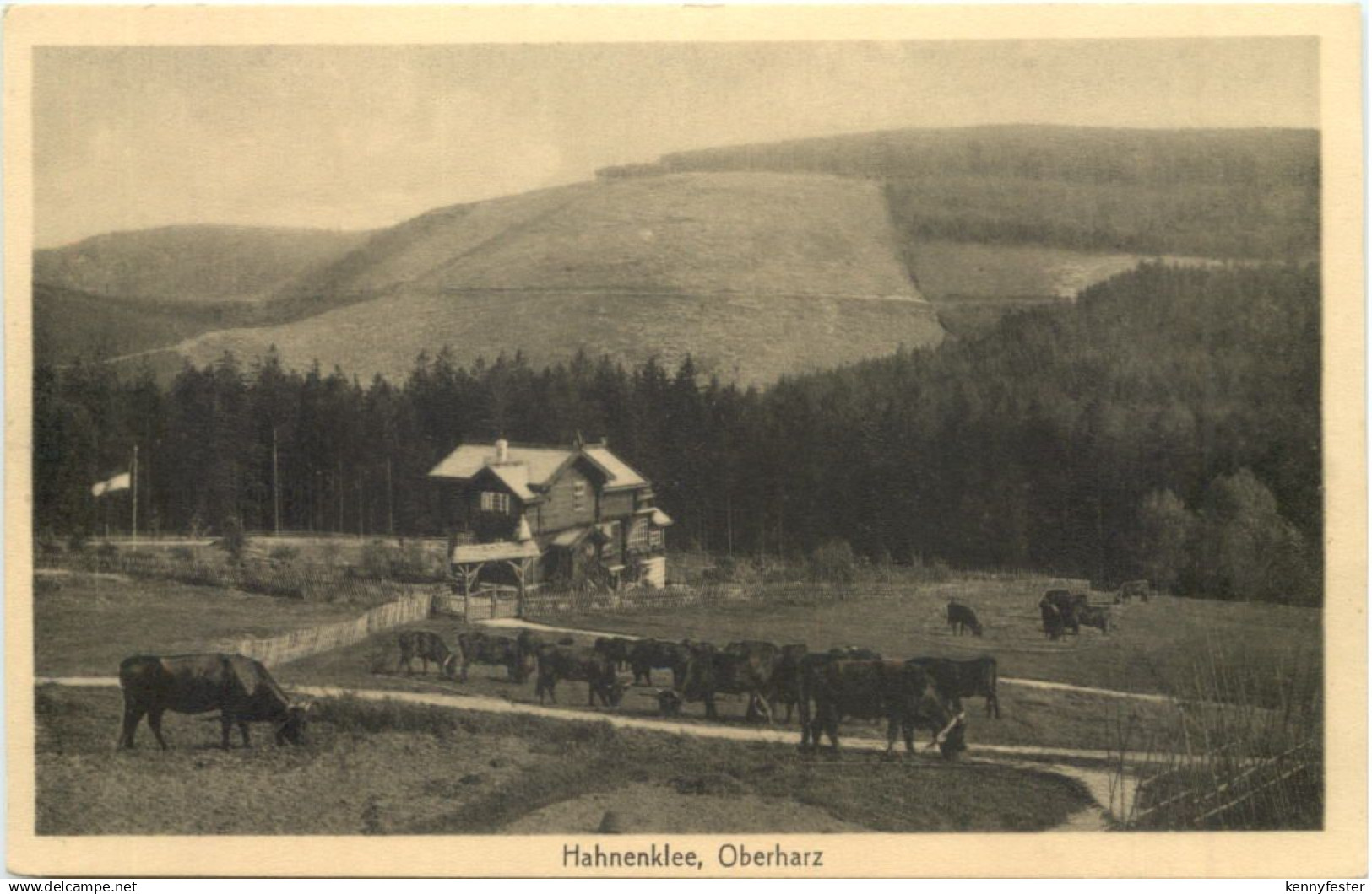 Hahnenklee - Oberharz