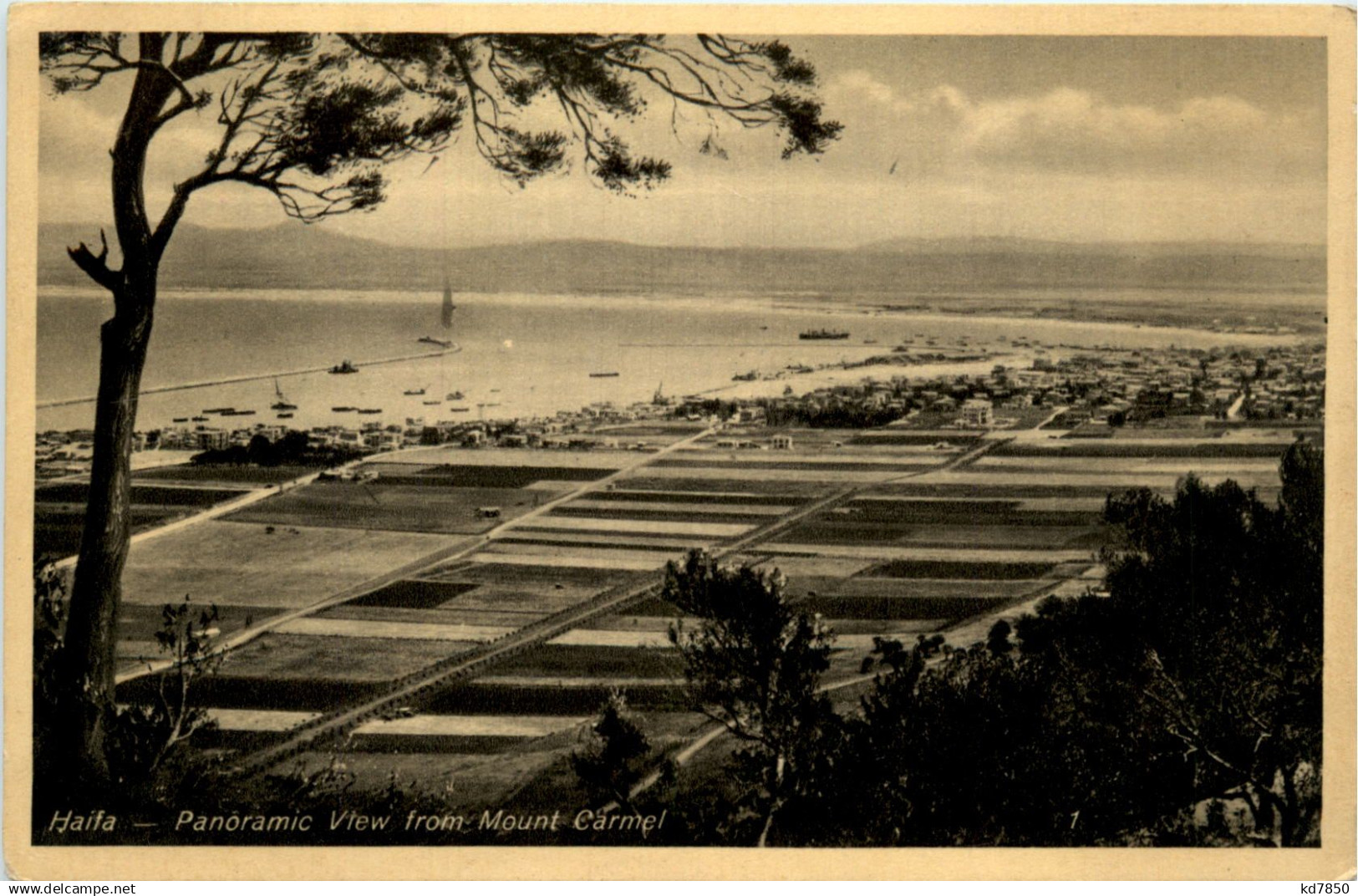 Haifa - Palestine