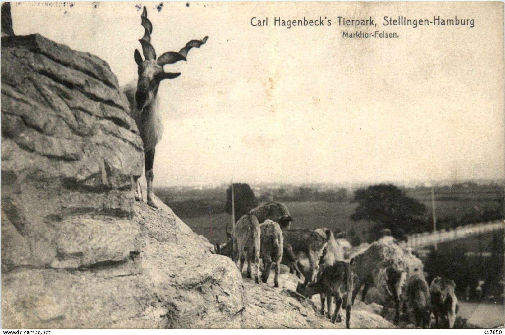 Hamburg - Stellingen - Carl Hagenbecks Tierpark