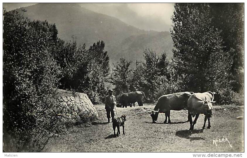 - haute garonne - ref 721 - fronsac - paturage dans la vallee - berger et son chien - vaches - carte bon etat -