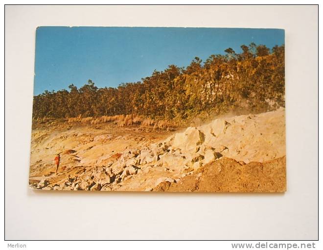 Hawaii  -Sulphur Banks - Hawaii Volcanoes National Park  -  D69668