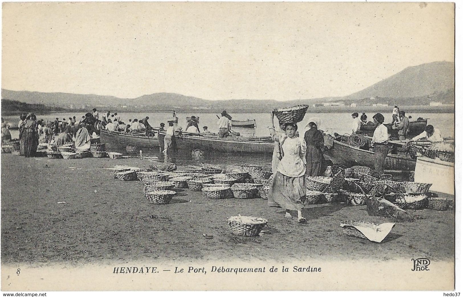 Hendaye - Le Port, Débarquement de la Sardine