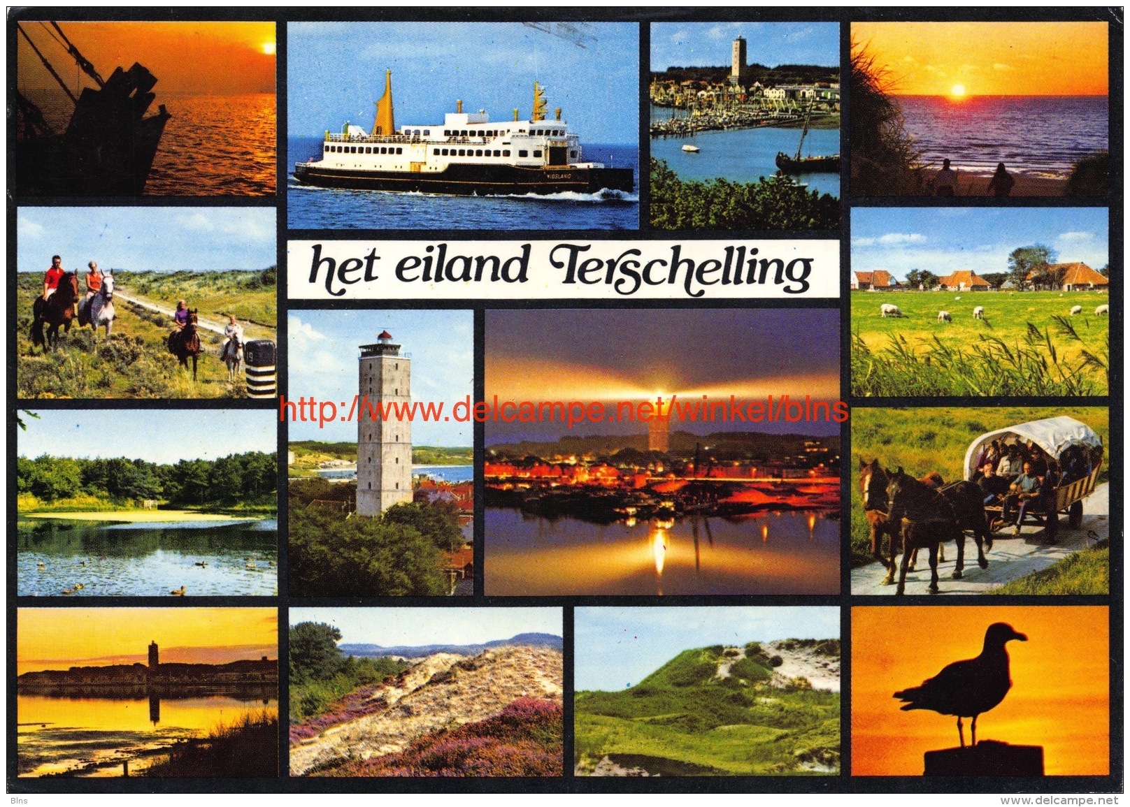 Het eiland - Terschelling