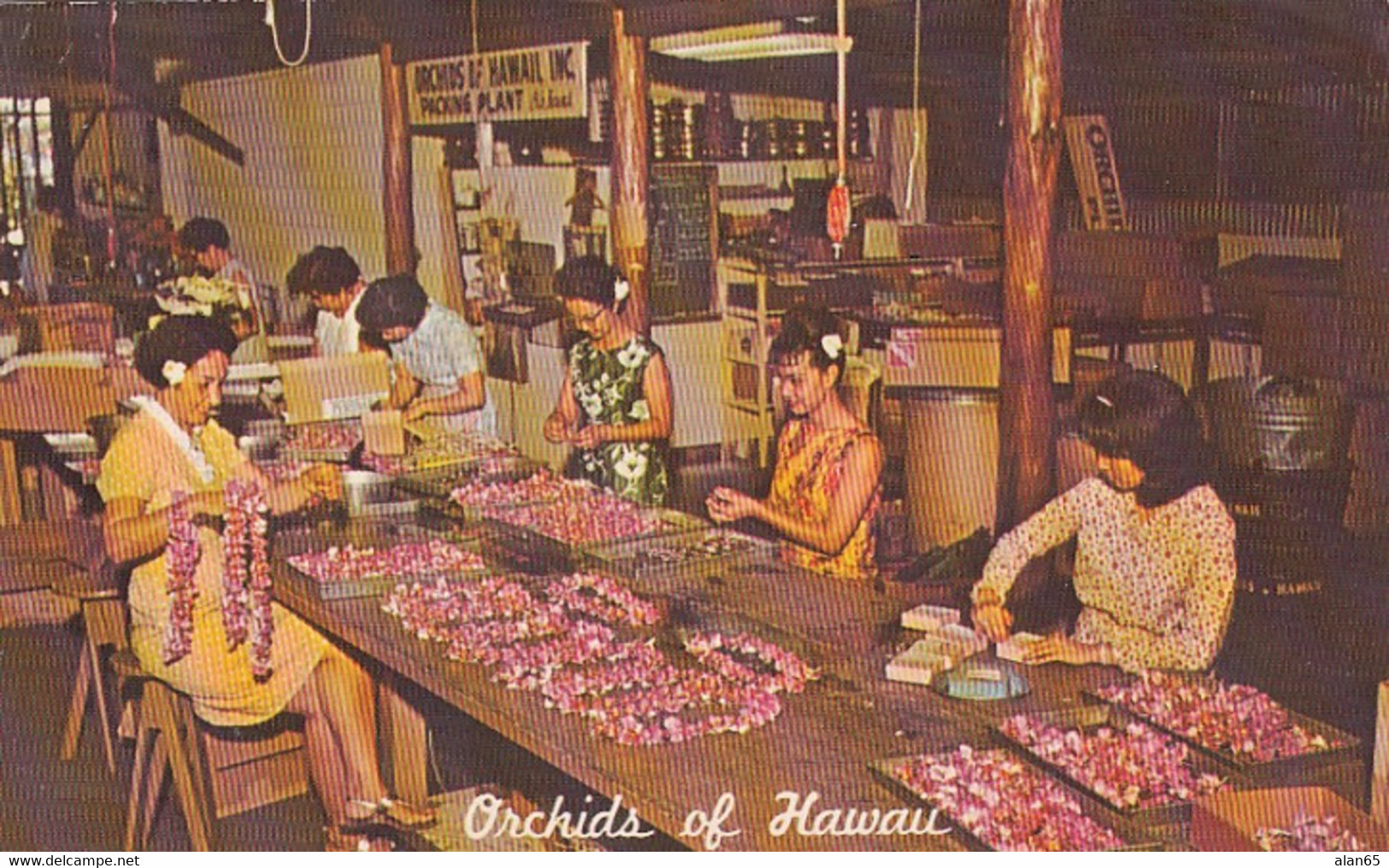 Hilo Hawaii, Orchids of Hawaii Company, Women Pack Flowers Make Leis, c1960s Vintage Postcard