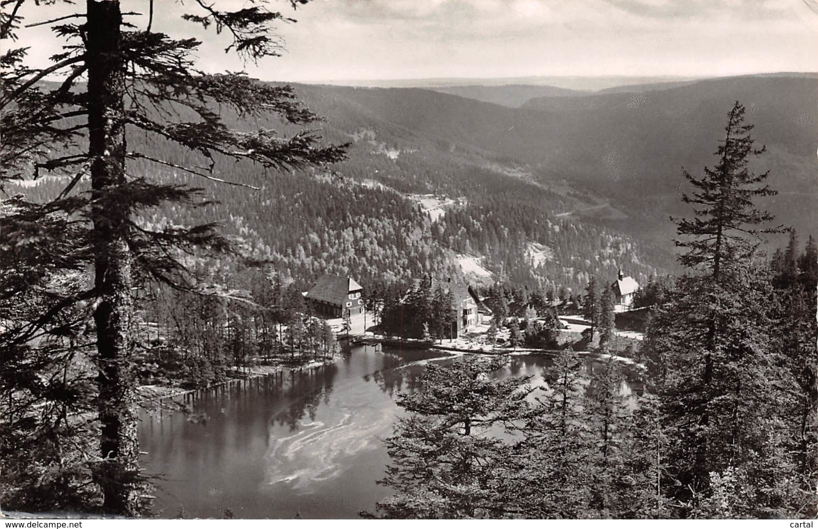 HOCHSCHWARZWALD - Mummelsee, Nördl.