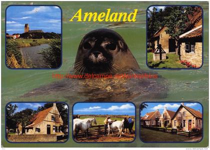 Ameland