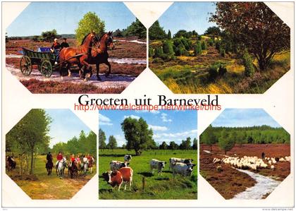 Groeten uit Â… - Barneveld