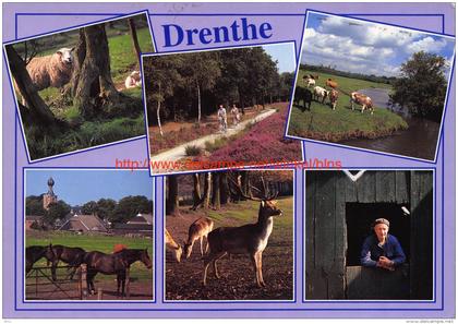 Drenthe