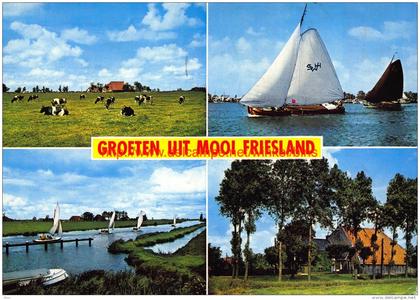 Groeten uit Â… - Friesland