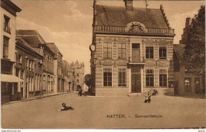 CPA AK HATTEM Gemeentehuis NETHERLANDS (713421)