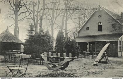 Nederland, HATTEM, Uitspanning Molecaten Speeltuin (1910) Ansichtkaart