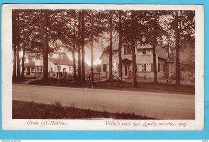 NEDERLAND prentbriefkaart Villa's aan den Apeldoornschen weg 1929 Hattem parel der Veluwe  - Velp