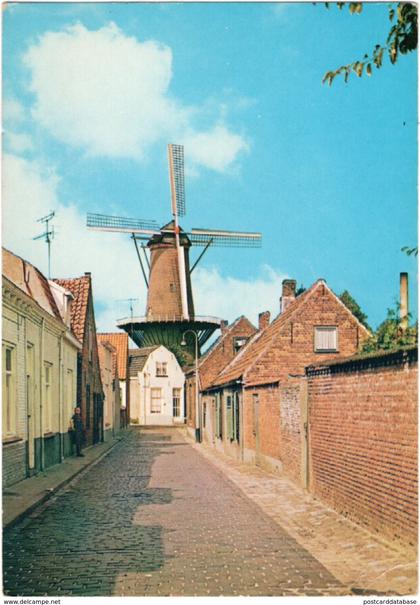 Hulst - Stadsmolen - & windmill