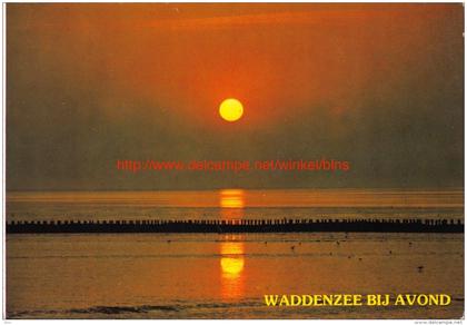 Waddenzee bij Avond - Noord-Holland