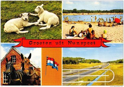 Groeten uit Â… - Nunspeet