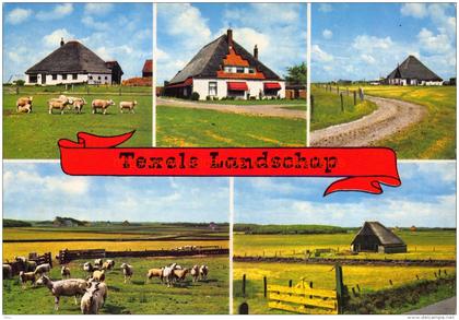 Landschap - Texel