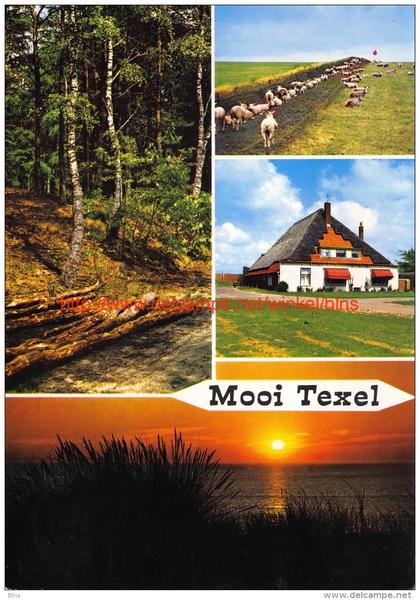 Texel