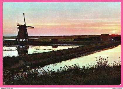 Texel - Molen het Noorden - Moulin - Molen - RUBENS TEXEL