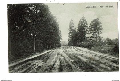 CPA  Carte postale-Pays Bas- Veenendaal Aan den Berg 1937-VM24462br