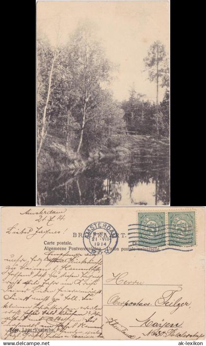 Postkaart Lage Vuursche-Baarn Lage Vuursche/Waldsee 1914